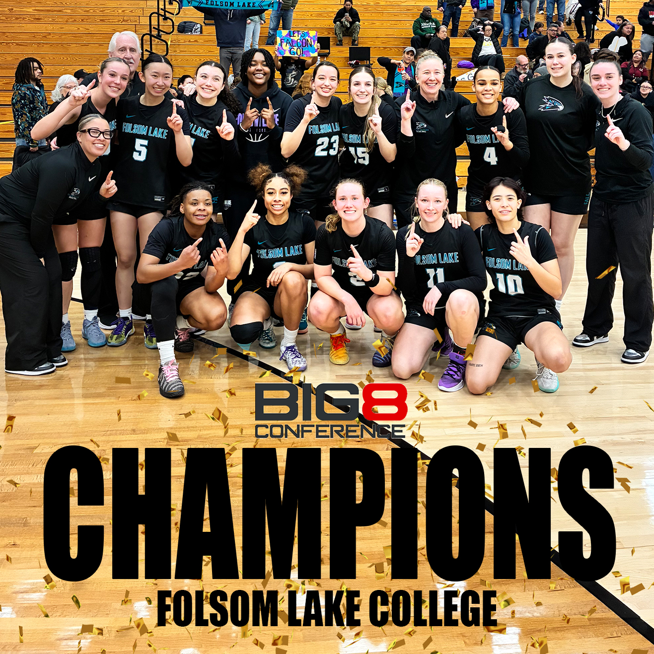 Big 8 Champions: Falcons Soar Into Playoffs After Historic Season